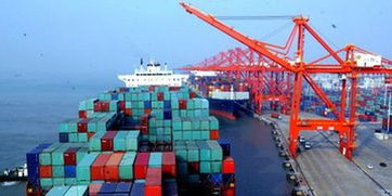 前7個月江西對非洲進出口150.8億元 同比增長35.9%，養(yǎng)老服務(wù)合作潛力凸顯